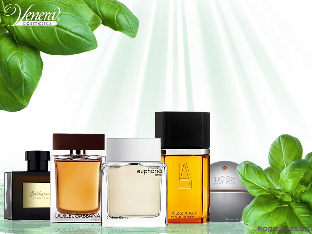 Basil note Perfumery blog