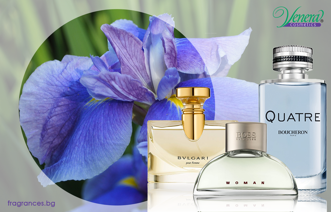 Iris note Perfumery blog Venera Cosmetics