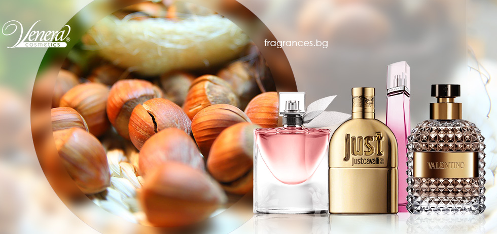 haselnut-fragrances-banner-venera