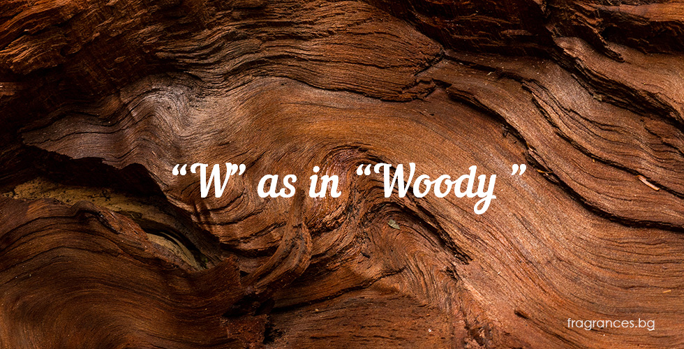 woody perfumes