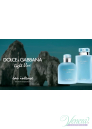 Dolce&Gabbana Light Blue Eau Intense EDP 25ml за Жени Дамски Парфюми