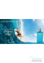 Davidoff Cool Water Wave EDT 75ml за Мъже Мъжки парфюми
