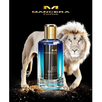 Mancera Aoud Blue Notes EDP 120ml за Мъже и Жени БЕЗ ОПАКОВКА Унисекс Парфюми без опаковка