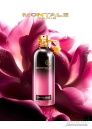 Montale Oud Fool Roses EDP 100ml за Мъже и Жени БЕЗ ОПАКОВКА Унисекс Парфюми без опаковка