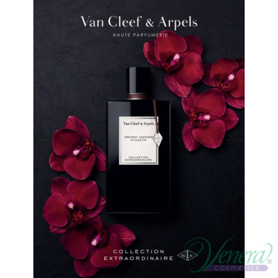 Van Cleef & Arpels Collection Extraordinair...