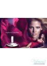 Calvin Klein Euphoria Sensual Skin Lotion 200ml за Жени Дамски продукти за лице и тяло