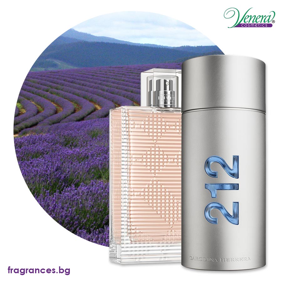 lavender field and perfumes