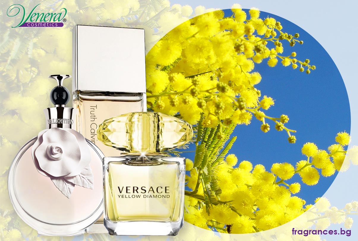 mimosa parfume